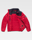 Giubbotto Uomo imbottito senza cappuccio Medium 12103104